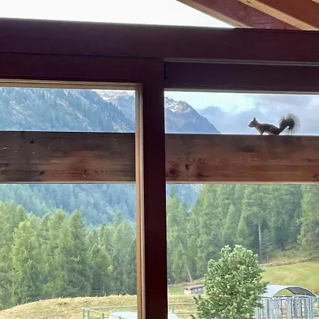 Nuovo Con Vista Mozzafiato Apartment